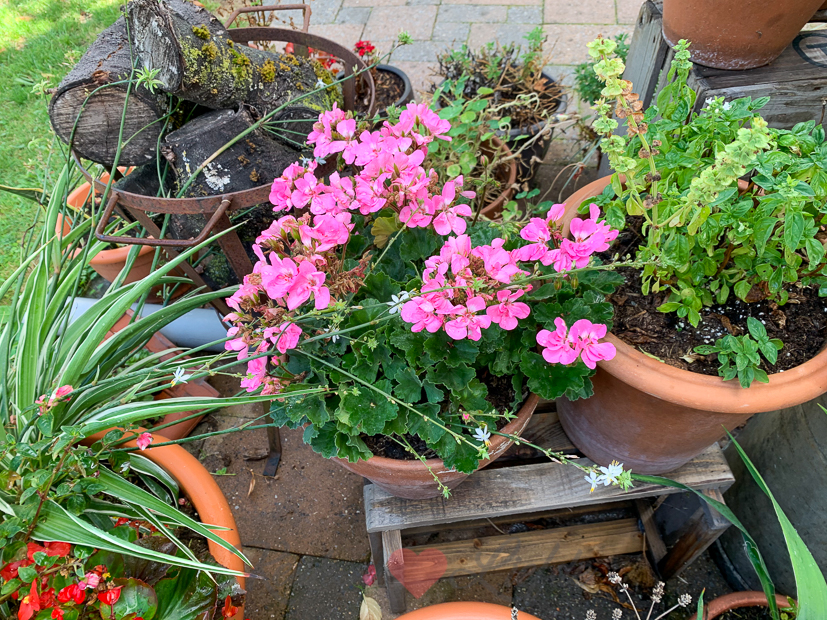 Een kijkje in de keuken week 34-2020