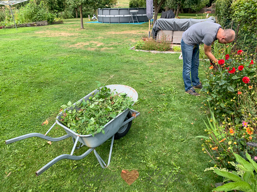 Een kijkje in de keuken week 34-2020