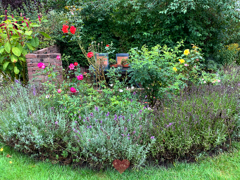 Een kijkje in de keuken week 34-2020