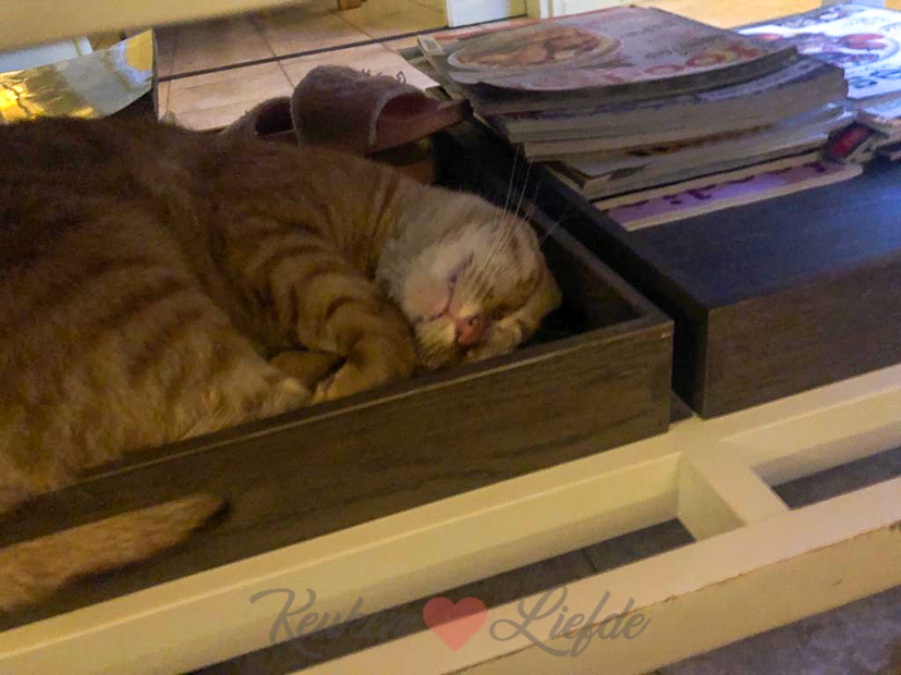 Een kijkje in de keuken week 35-2020