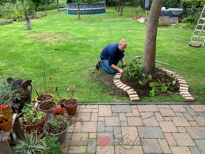 Een kijkje in de keuken week 35-2020 Een kijkje in de keuken week 35-2020
