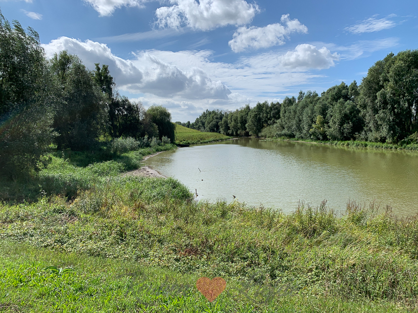 Een kijkje in de keuken week 36-2020