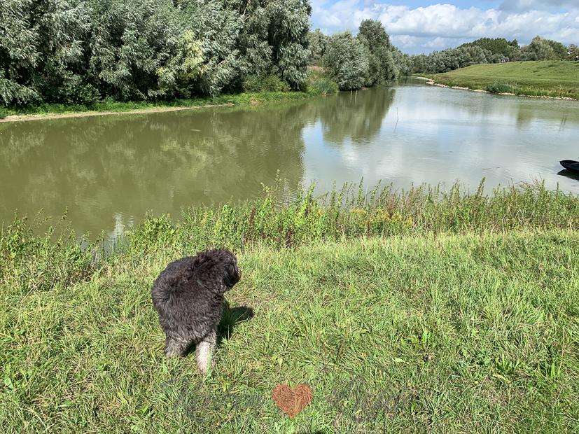 Een kijkje in de keuken week 36-2020