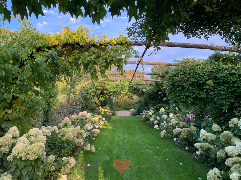 Een kijkje in de keuken week 36-2020