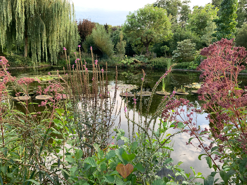 Een kijkje in de keuken week 36-2020
