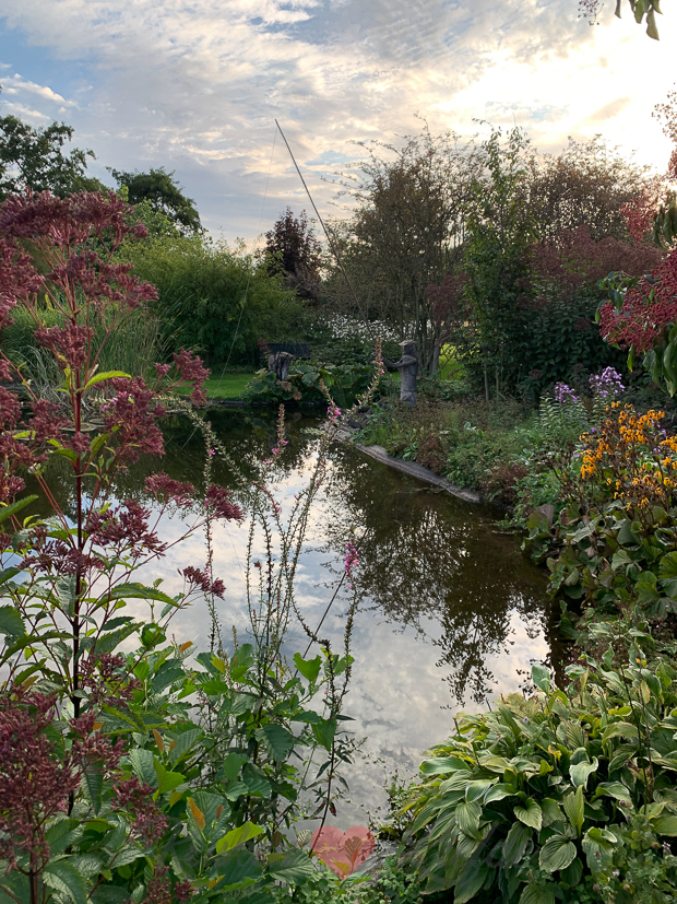 Een kijkje in de keuken week 36-2020