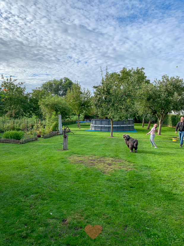 Een kijkje in de keuken week 36-2020