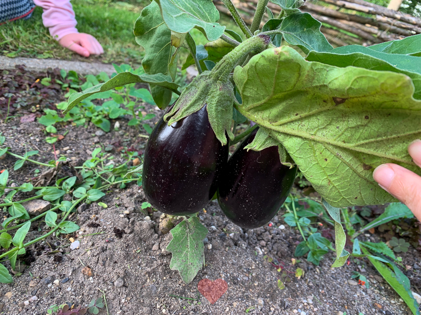 Een kijkje in de keuken week 36-2020