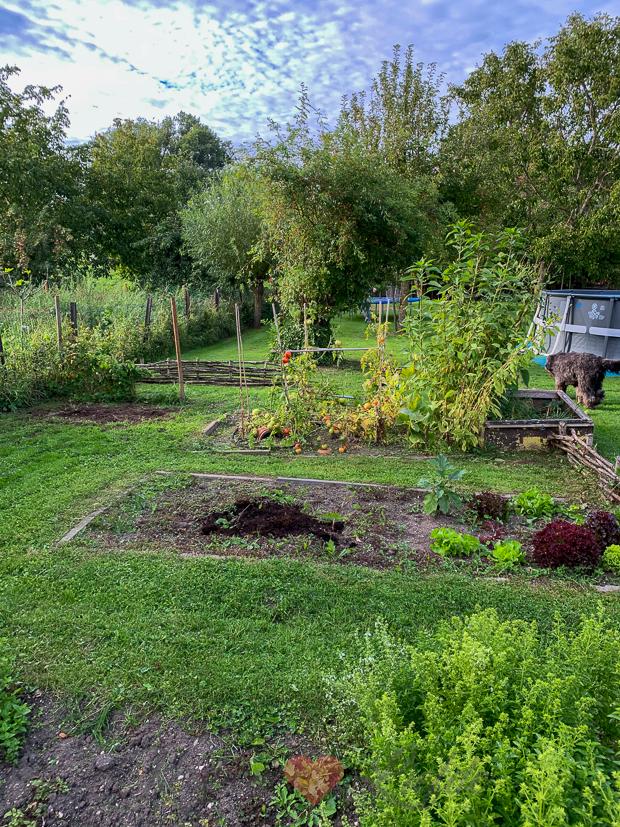 Een kijkje in de keuken week 36-2020