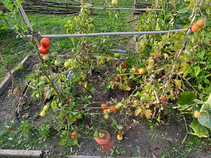 Een kijkje in de keuken week 36-2020