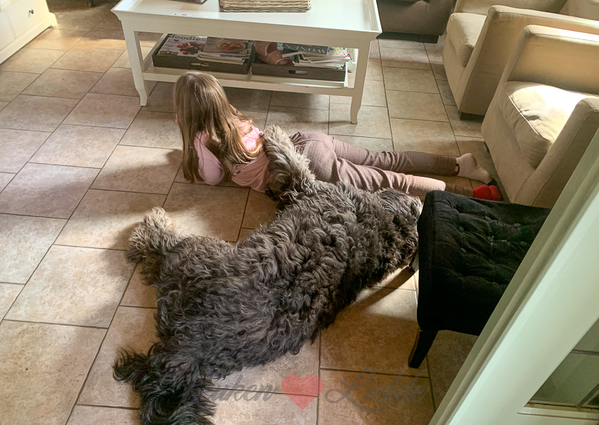 Een kijkje in de keuken week 36-2020 Een kijkje in de keuken week 36-2020