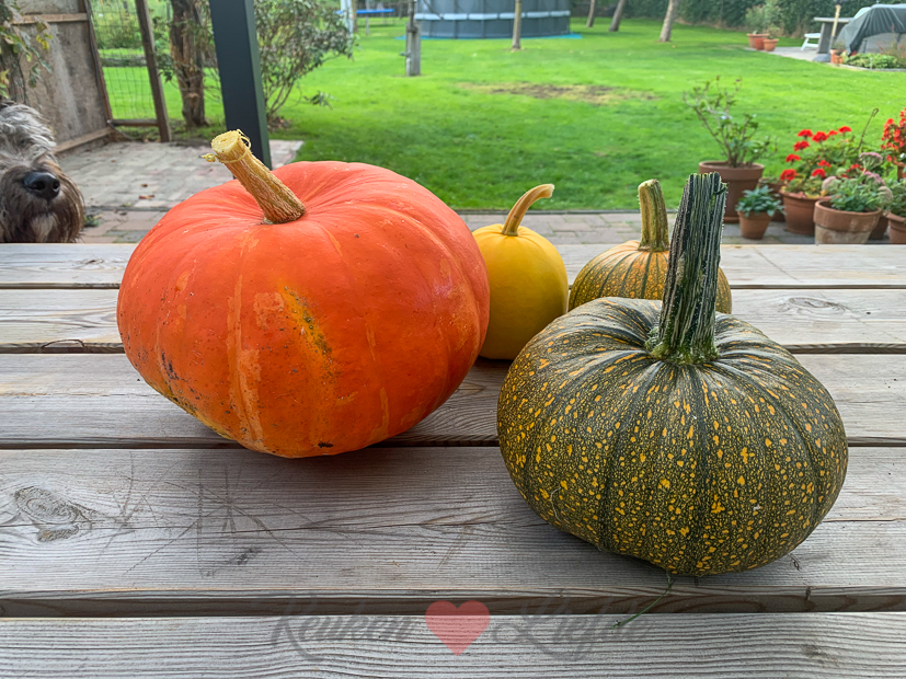 Een kijkje in de keuken week 36-2020