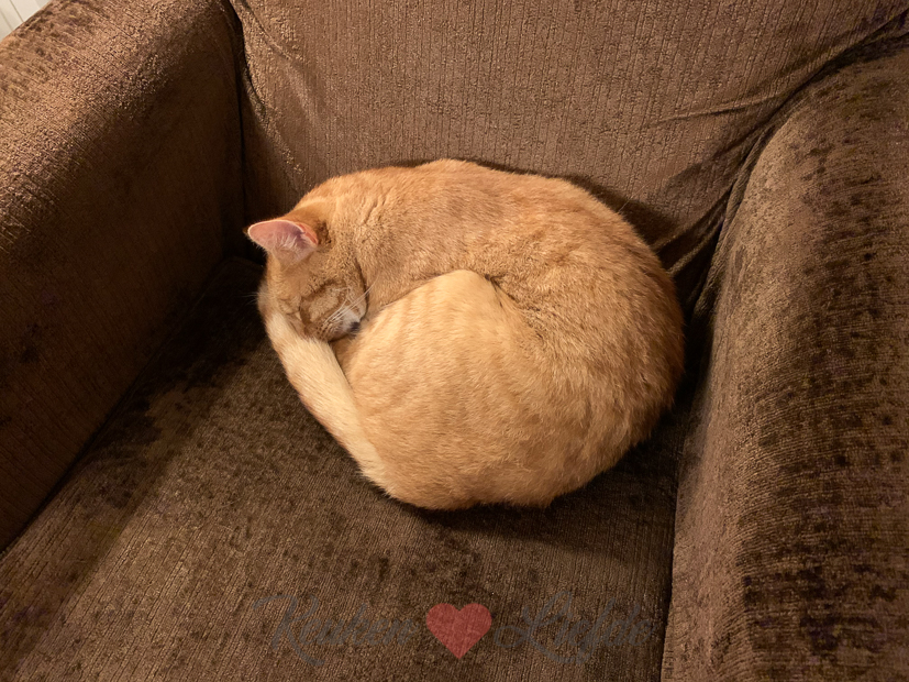 Een kijkje in de keuken week 40-2020