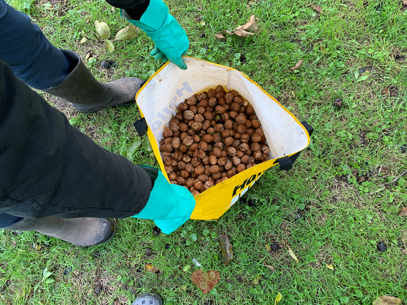 Een kijkje in de keuken week 40-2020
