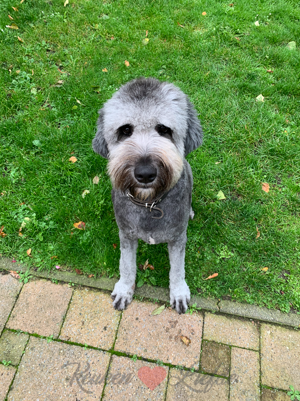 Een kijkje in de keuken week 41-2020