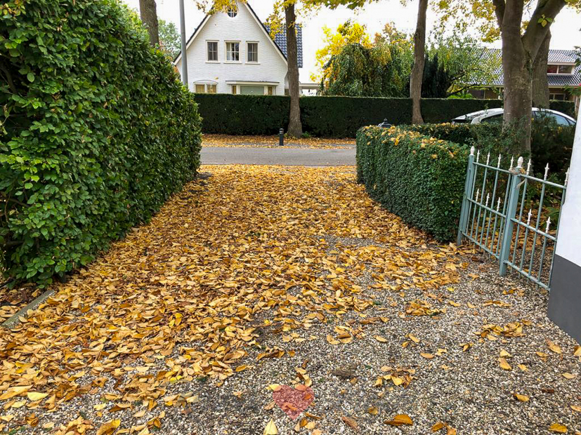 Een kijkje in de keuken 43-2020