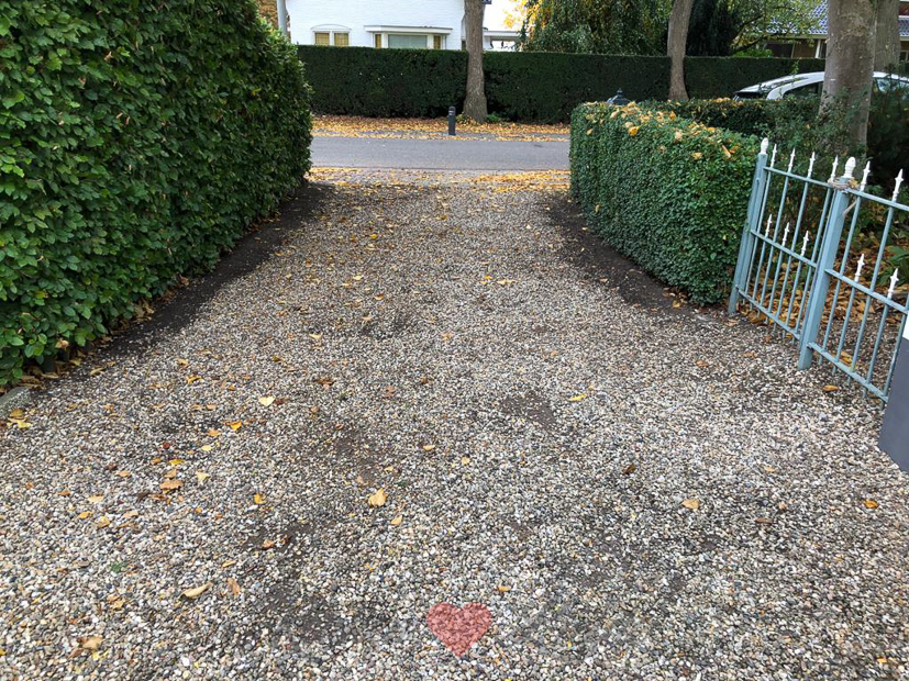 Een kijkje in de keuken 43-2020