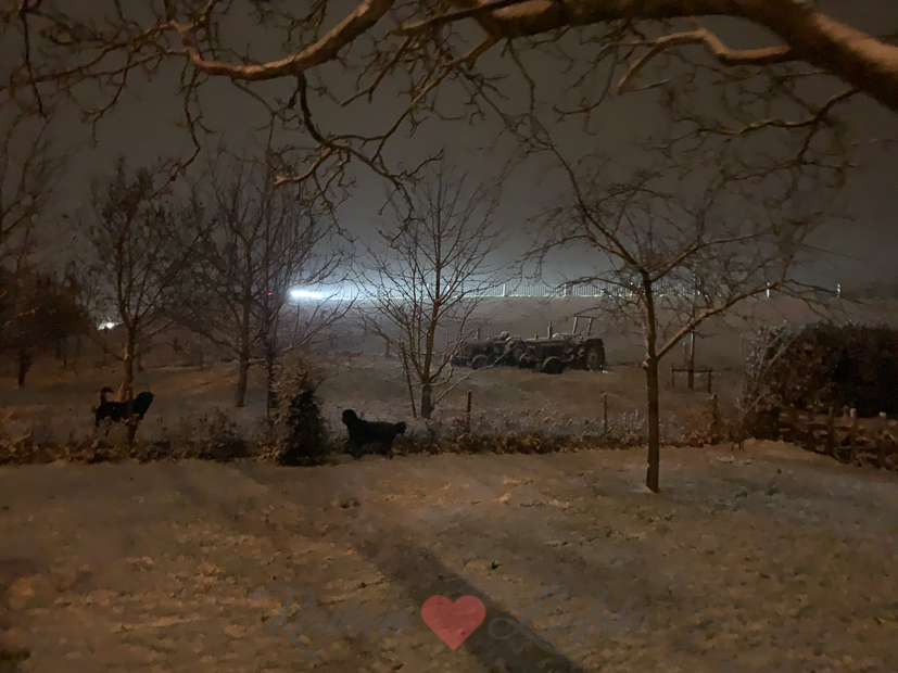 Een kijkje in de keuken week 3-2021