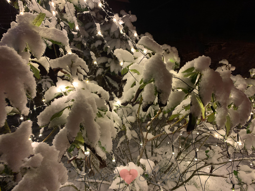 Een kijkje in de keuken week 3-2021