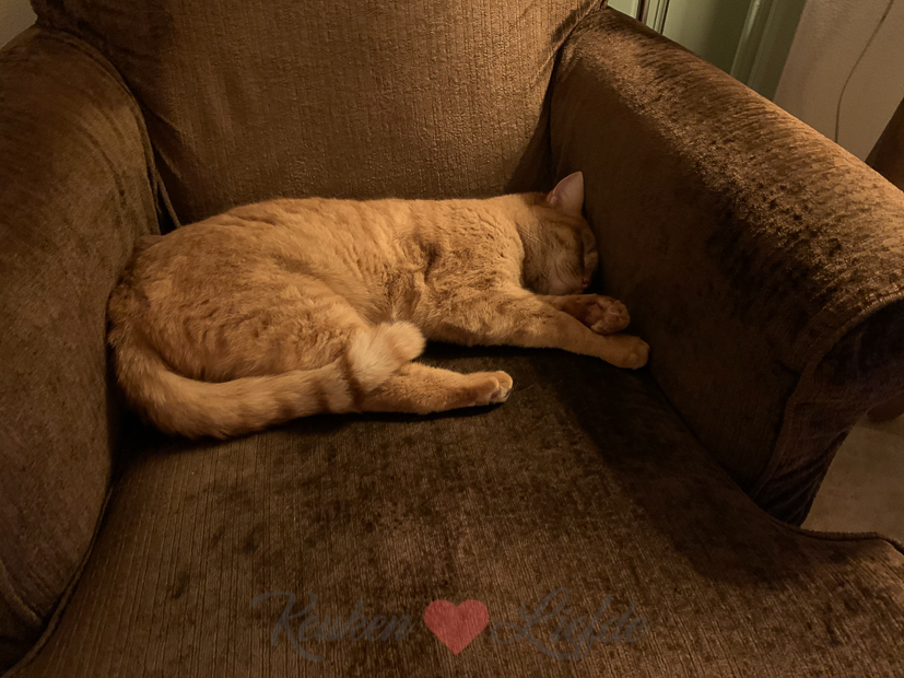 Een kijkje in de keuken week 4-2021