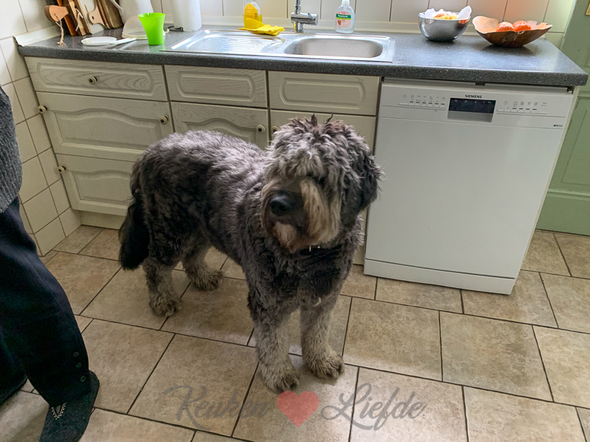 Een kijkje in de keuken week 5-2021