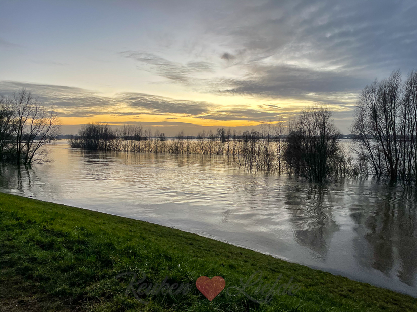 Een kijkje in de keuken week 6-2021
