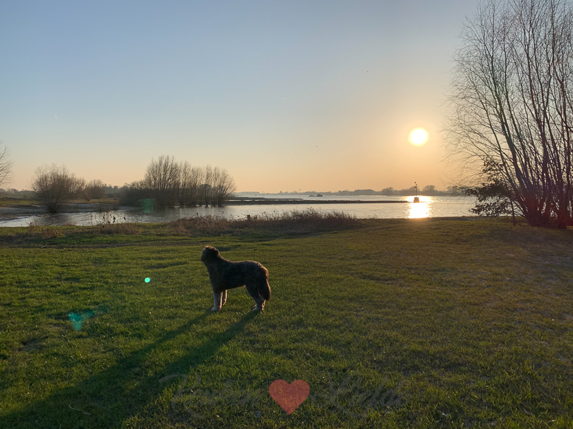 Een kijkje in de keuken week 10-2021