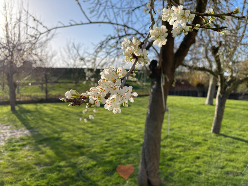 Een kijkje in de keuken week 14-2021