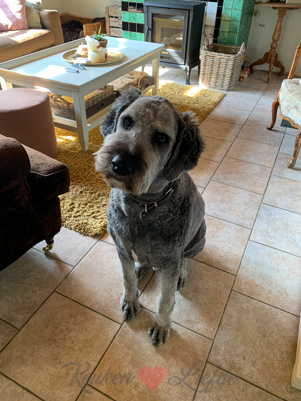 Een kijkje in de keuken week 15-2021