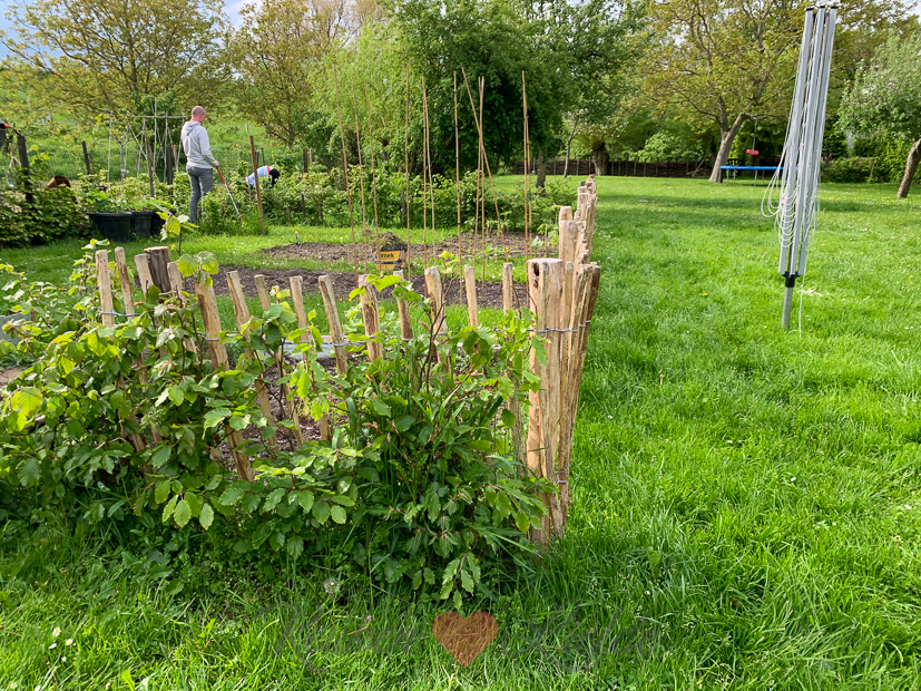 Een kijkje in de keuken week 21-2021