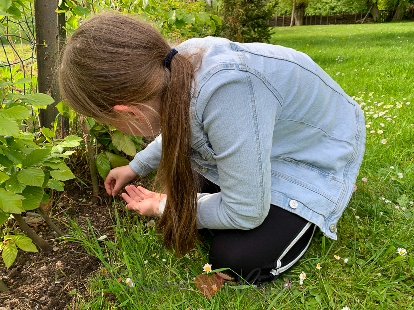 Een kijkje in de keuken week 21-2021