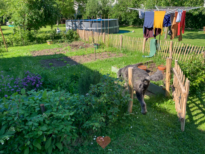 Een kijkje in de keuken week 23-2021