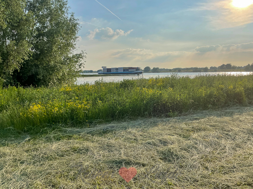 Een kijkje in de keuken week 24-2021 Een kijkje in de keuken week 24-2021