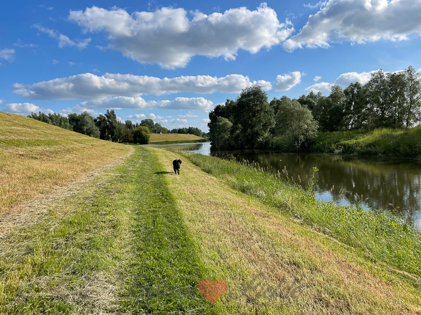 Een kijkje in de keuken week 24-2021