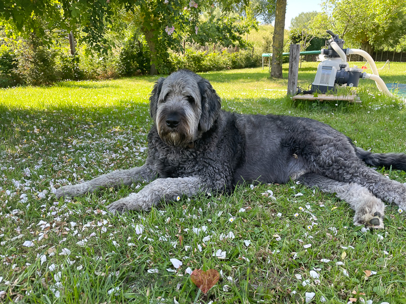 Een kijkje in de keuken week 24-2021