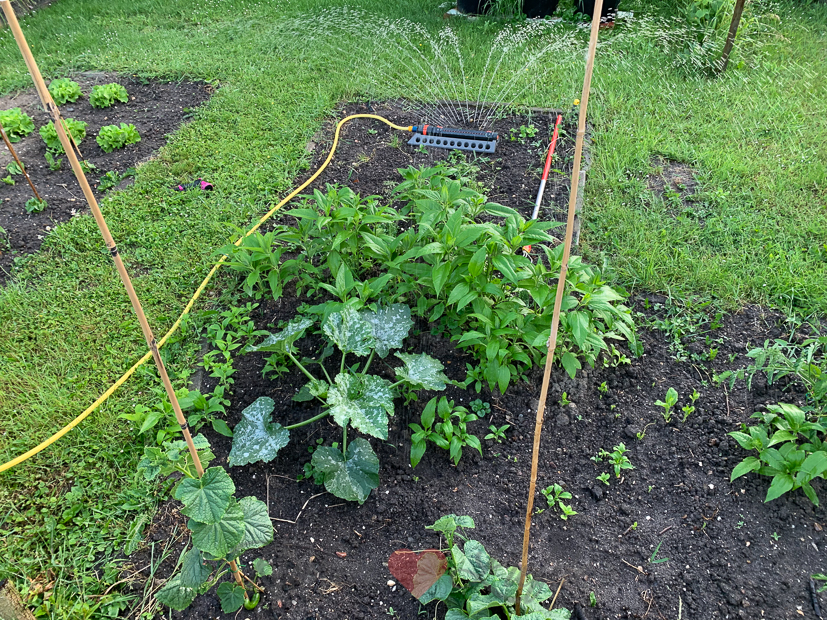 Een kijkje in de keuken week 25-2021