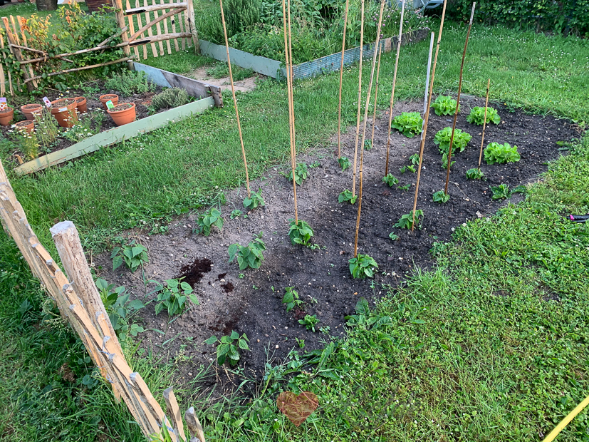 Een kijkje in de keuken week 25-2021