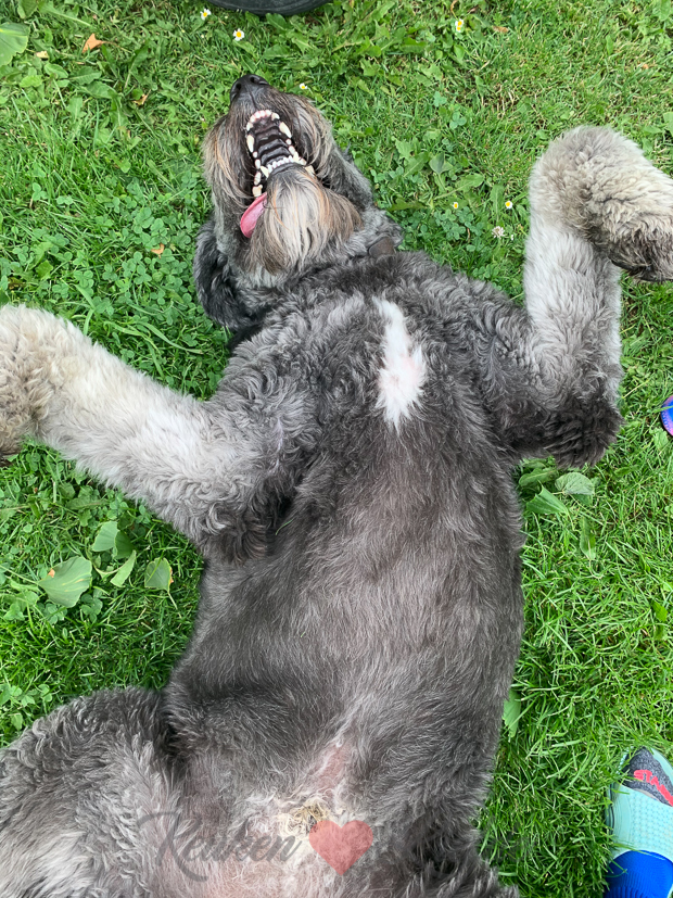 Een kijkje in de keuken week 25-2021