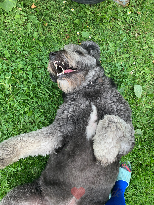 Een kijkje in de keuken week 25-2021