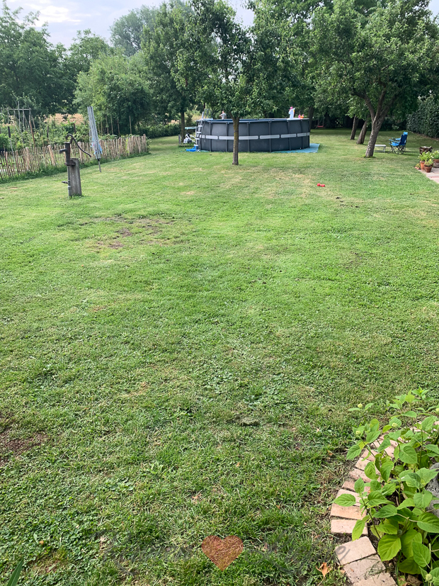 Een kijkje in de keuken week 25-2021