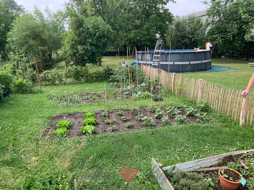 Een kijkje in de keuken week 25-2021