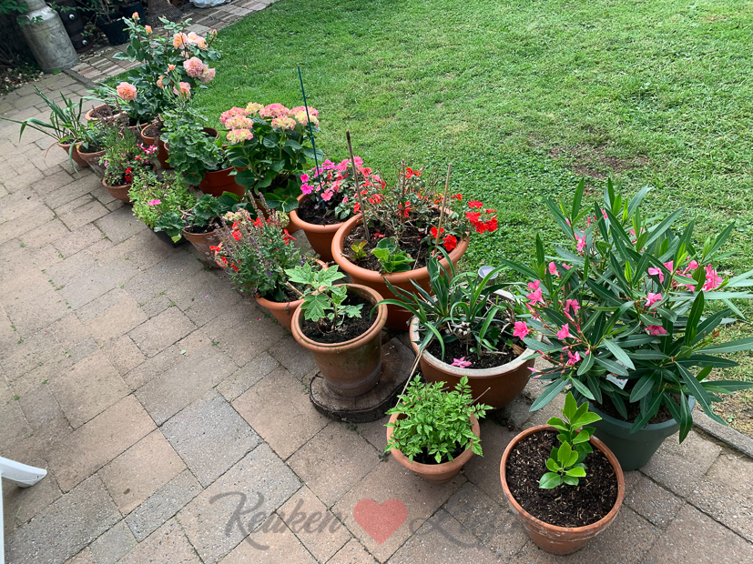 Een kijkje in de keuken week 25-2021