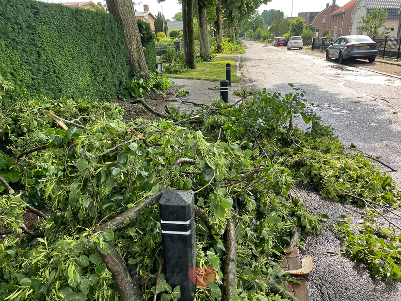 Een kijkje in de keuken week 25-2021