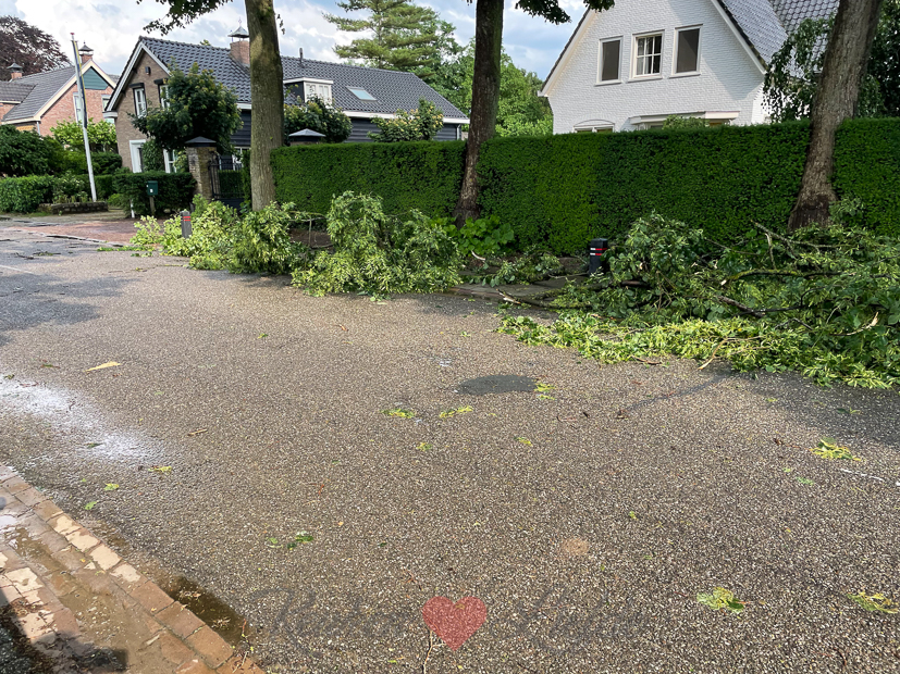 Een kijkje in de keuken week 25-2021