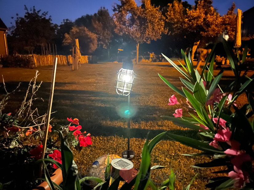 Een kijkje in de keuken week 25-2021