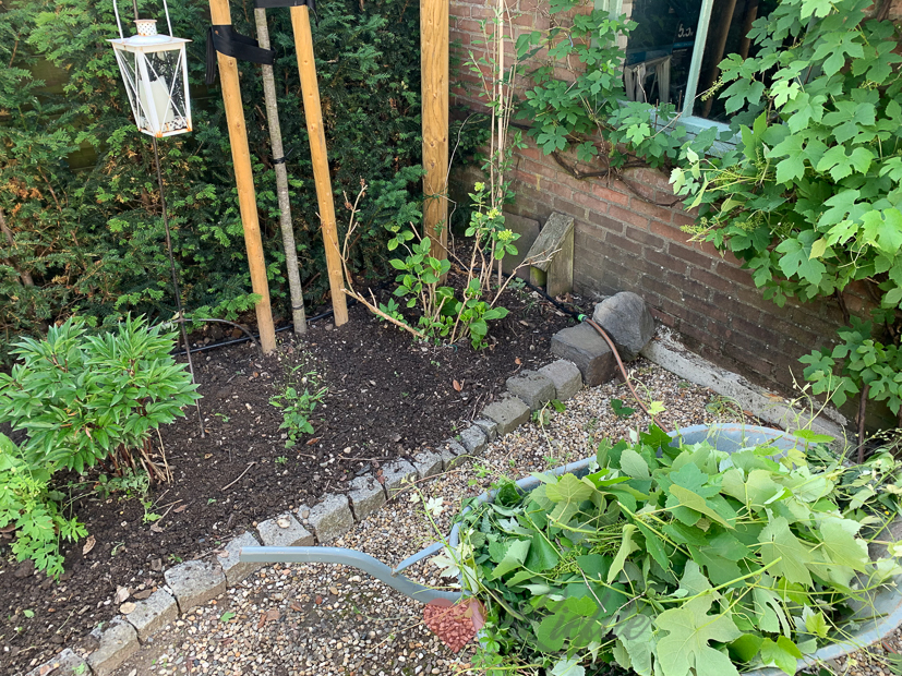 Een kijkje in de keuken week 26-2021