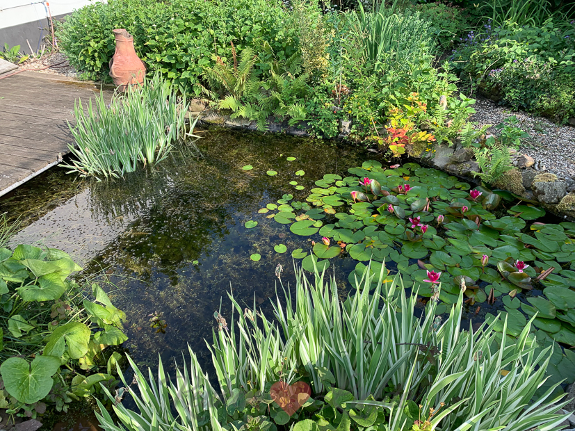 Een kijkje in de keuken week 26-2021