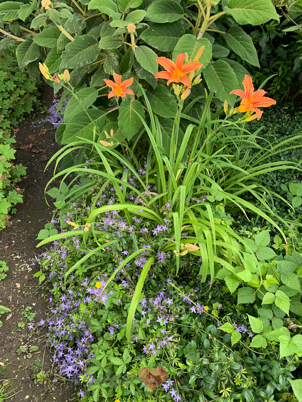 Een kijkje in de keuken week 26-2021
