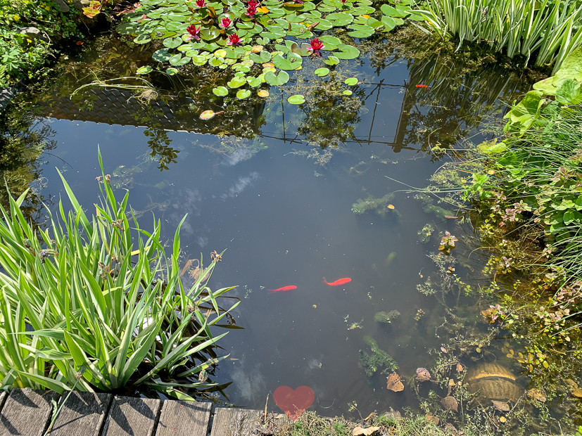 Een kijkje in de keuken week 26-2021