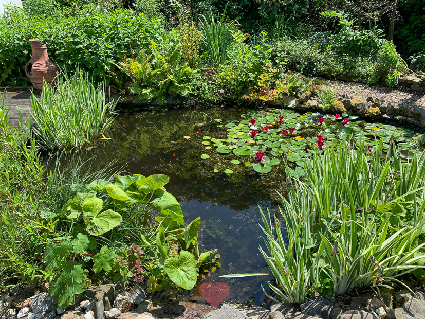 Een kijkje in de keuken week 26-2021